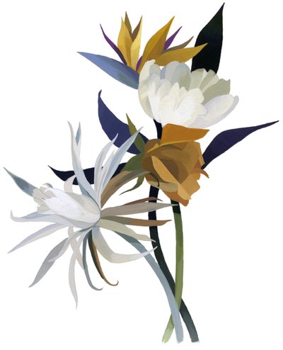 Eine imaginäre Blume mit weißem Grund von Hiroyuki Izutsu
