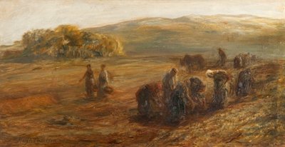 Kartoffelernte von Hugh Cameron