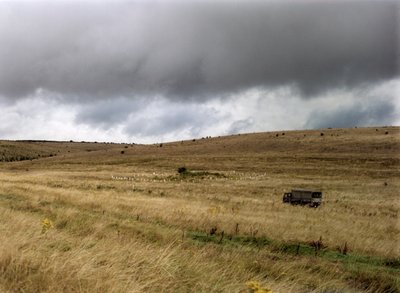 Hügelgrab auf der Salisbury Plain, Wiltshire, 1999 von IJ Leonard