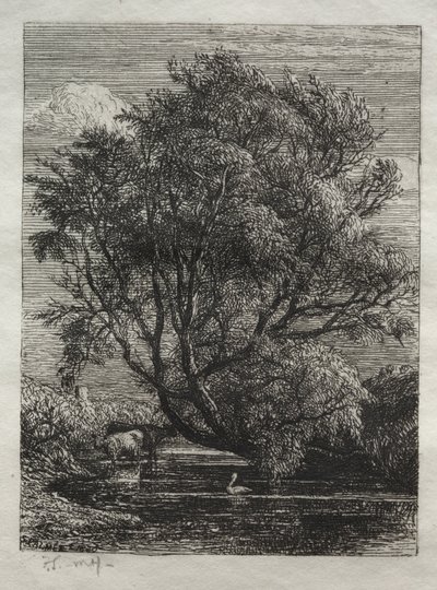 Die Weide von Ignaz Gunther