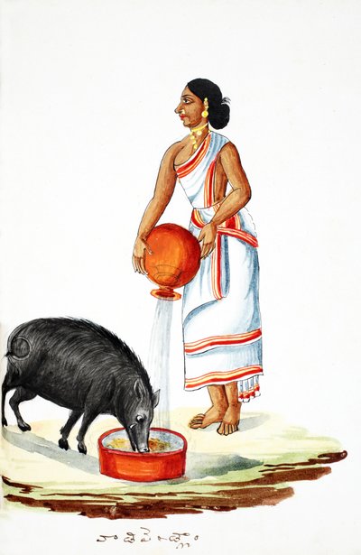 Ein Wildschwein füttern von Indian School