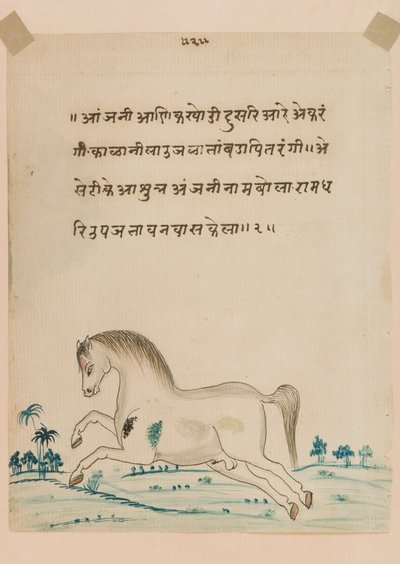 Pferd von Indian School
