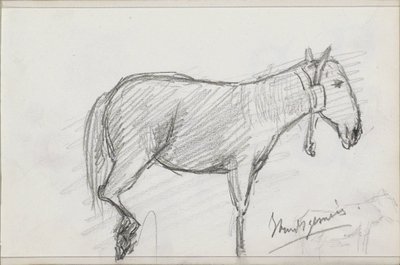 Pferd von Isaac Gosschalk