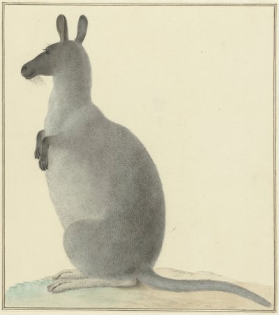 Känguru von Isaac van Haastert