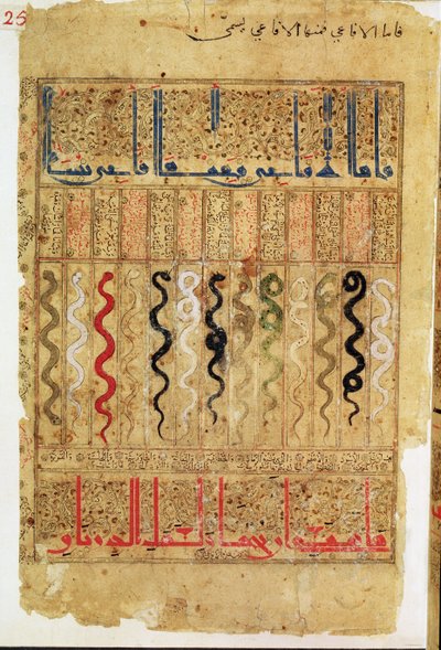 Abhandlung über Theriak nach Galen, 1217 von Islamic School