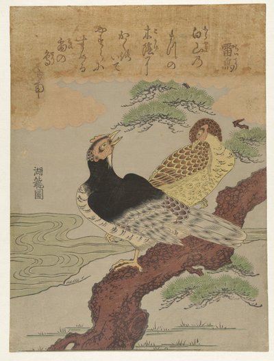 Donnervögel von Isoda Koryusai