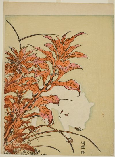 Weißes Kaninchen und Amarant von Isoda Koryusai