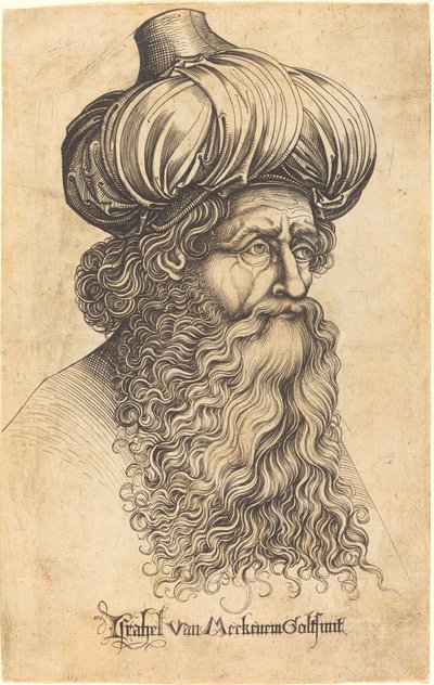 Kopf eines alten Mannes von Israhel van Meckenem
