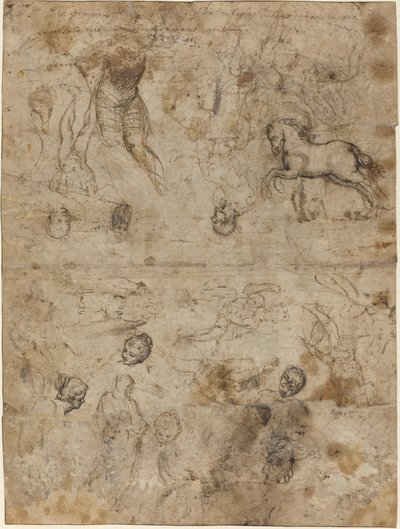 Blatt mit Studien von Italian 16th Century