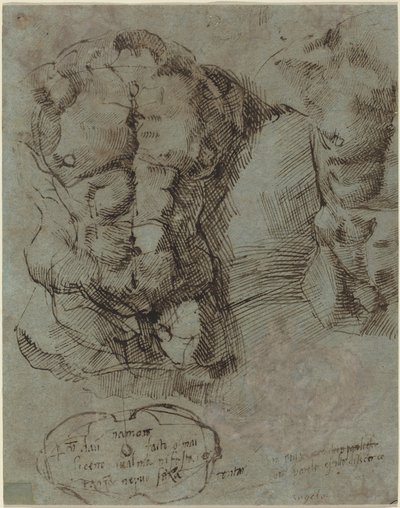 Studien eines männlichen Torsos von Italian 16th Century