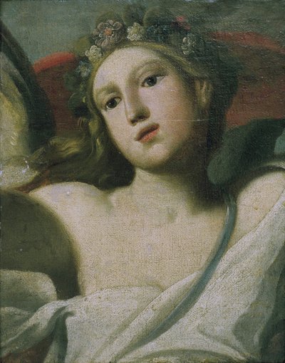 Flora von Italian School