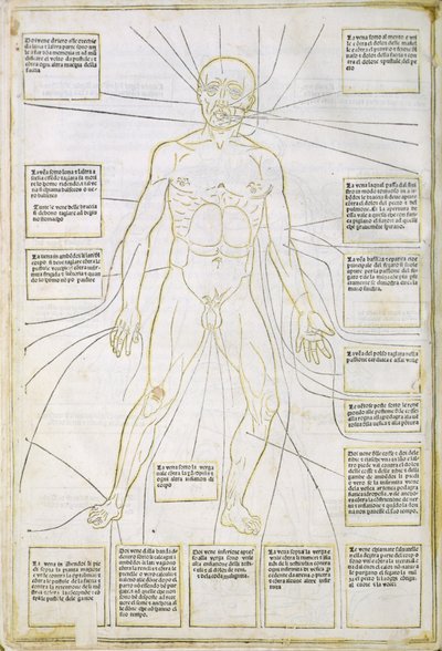 Illustration aus 