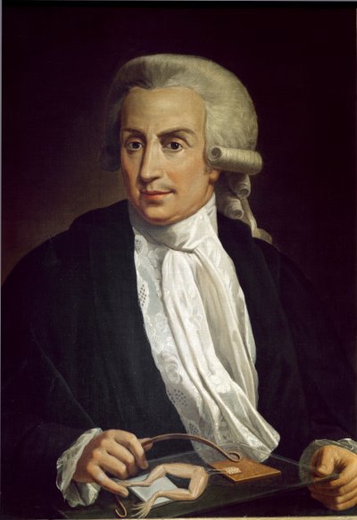 Luigi Galvani mit Froschpräparat von Italian School