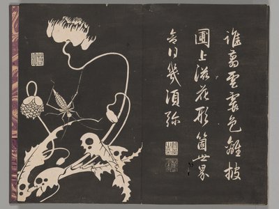 Soken sekisatsu von Ito Jakuchu
