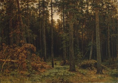 Kiefernwald, 1885 von Ivan Ivanovich Shishkin