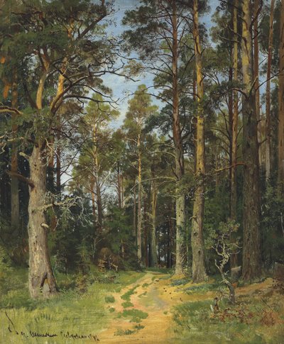 Siverskaya, 1896 von Ivan Ivanovich Shishkin