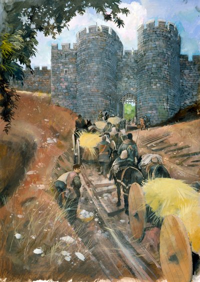 Beeston Castle von Ivan Lapper
