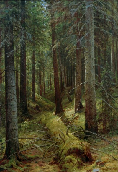 Im russischen Wald von Ivan Ivanovich Shishkin