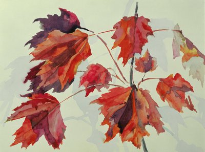 Nr. 24 Herbst-Ahornblätter von Izabella Godlewska de Aranda