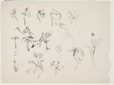 Blumenskizzen von J.A. Jerichau