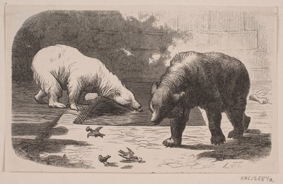 Bären im Jardin des Plantes von J.C. Nielsen
