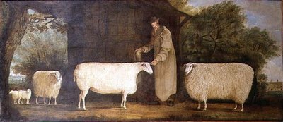 Ein Schäfer mit seiner Herde von J.D. Curtis