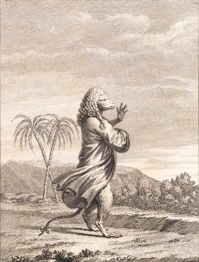 Ein martiniquischer Affe von J.F. Clemens