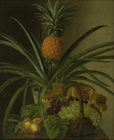 Eine Ananas und andere Früchte von J.L. Jensen