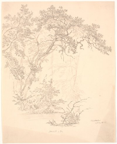 Bäume von J.P. Møller