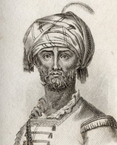 Hyder-Ali von J.W. Cook