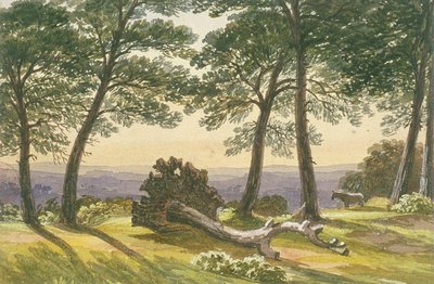Hampstead Heath, London, ca. 1830 von J Powell