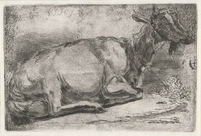 Liegende Ziege von Jabes Heenck
