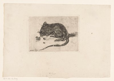 Maus von Jac van Looij