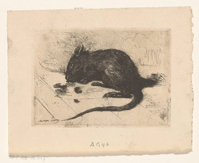 Maus von Jac van Looij