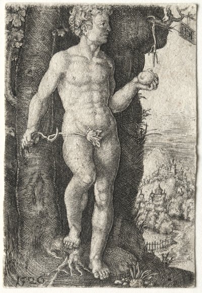 Adam, 1526 von Jacob Binck