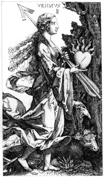 Venus von Jacob Binck