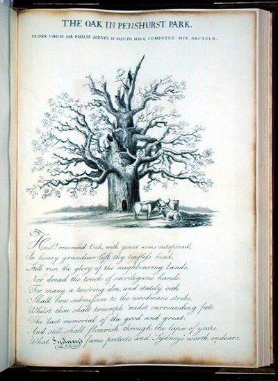 Die Eiche im Penshurst Park von Jacob George Strutt