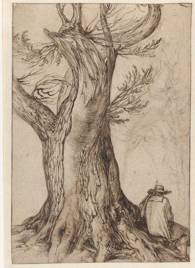 Studie eines Baumstamms von Jacob II de Gheyn