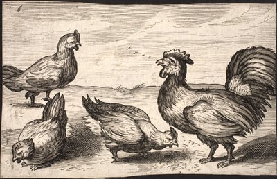 Ein Hahn mit drei Hennen von Jacob Matham