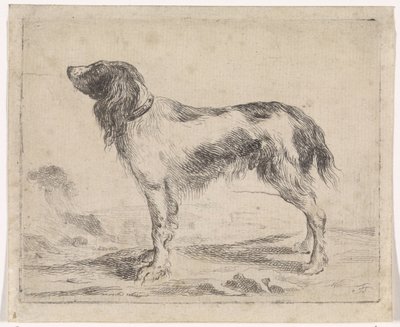 Stehender Hund von Jacob Toorenvliet