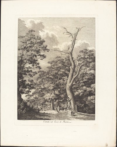 Eingang in den Wald von Marino von Jacob Wilhelm Mechau