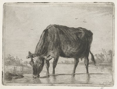 Trinkende Kuh von Jacobus Cornelis Gaal