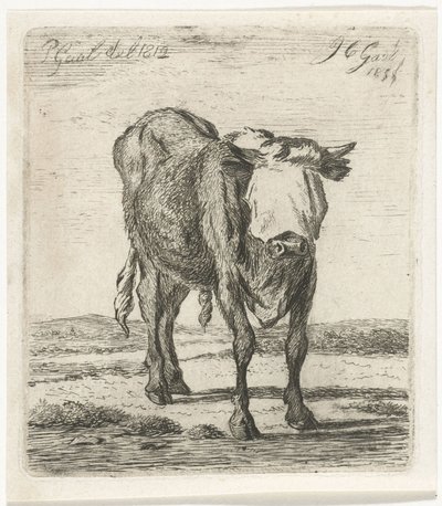 Geblendeter Stier von Jacobus Cornelis Gaal