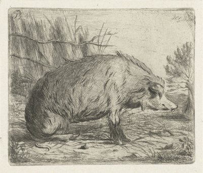 Sitzendes Wildschwein von Jacobus Cornelis Gaal