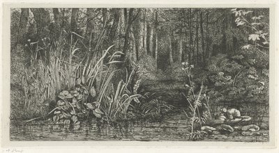 Waldfluss von Jacobus Ludovicus Cornet