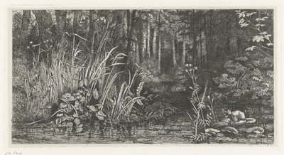 Waldgebirgsbach von Jacobus Ludovicus Cornet
