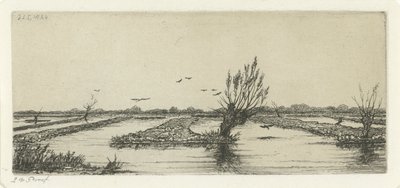 Moorsee von Jacobus Ludovicus Cornet