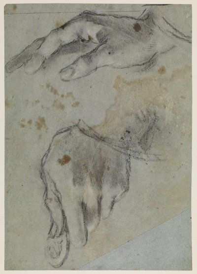 Studien von Händen, recto, 16. Jahrhundert von Jacopo Bassano