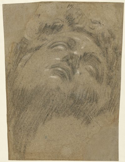 Kopf von Giuliano dei Medici von Jacopo Tintoretto
