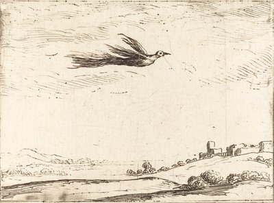 Paradiesvogel von Jacques Callot